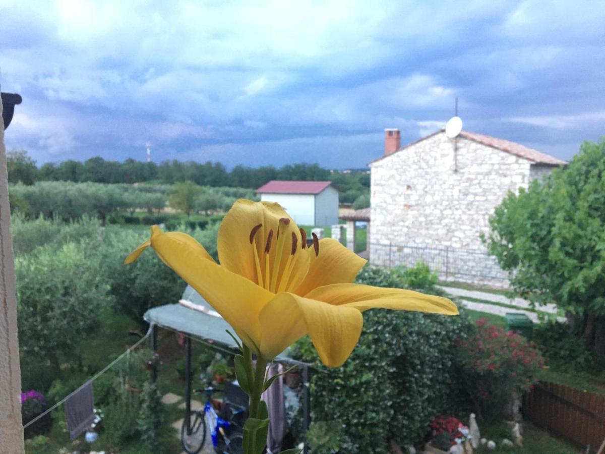Appartment Hacienda Monica Умаг Екстер'єр фото